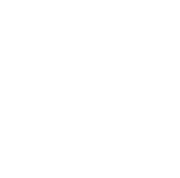 甘肃敦煌特产,敦煌特产罗布麻茶,敦煌特产李广杏干 - 敦煌八怪